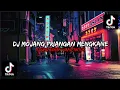 Download Lagu Dj Mojang Priangan Mengkane Viral Tiktok || Sound BEKEN