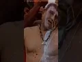 Download Lagu hamari kundlii dekhii | amrish Puri best dialogue | Divya shakti #amrishpuri #viral #trending