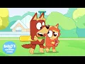 Cricket - Brand-New Clip Bluey s Bestest Friends