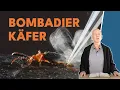 Download Lagu Tiere der Bibel - Der Bombardierkäfer - Teil 1 || Stefan Drüeke
