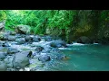 Download Lagu Relaxing Nature Forest River Sound - Calm River Water flow for Sleeping Meditation, Insomnia, Work