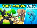 3 Animals That Understand Death Better Than We Thought