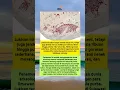 Download Lagu Lukisan Tertua Di Dunia Ada Di Indonesia