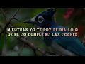 Ricardo Arjona - Duele Verte (Lyrics/Letra)