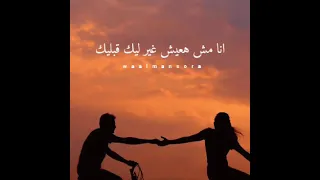 حالات واتس تامر حسني انا قولتهالك من اولها 