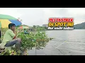 SALING BERADU STREK||UMPAN INI CUKUP AMPUN DI BUAT MABAR PARA PEMANCING 