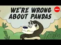 Are pandas the most misunderstood animal - Lucy Cooke