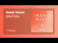 Download Lagu [1 HOUR] ENHYPEN - Sweet Venom