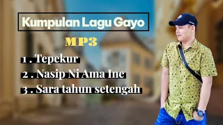 kumpulan lagu gayo 2025 mudien gayo