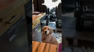 Traveling in a van with kids is FUN