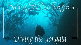 E30 – Diving Australia’s #1 Shipwreck, the Yongala