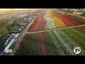 Discover Carlsbad Your ultimate beach town experience