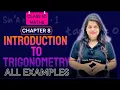 Trigonometry Examples Chapter 8 2025