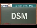 Autism Jargon DSM