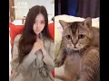 Download Lagu Tiktok kucing nakaLLL liat cewek buka baju!!!!!