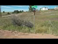 Lot 11 Aspen Drive Divide CO