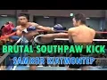 Download Lagu Samkor's Brutal Left Kick | Muay Thai Mastery