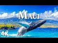 Download Lagu Wonders of Maui - Vreedzame landschapsvideo met ontspannende melodieën - Natuurbeelden 4K
