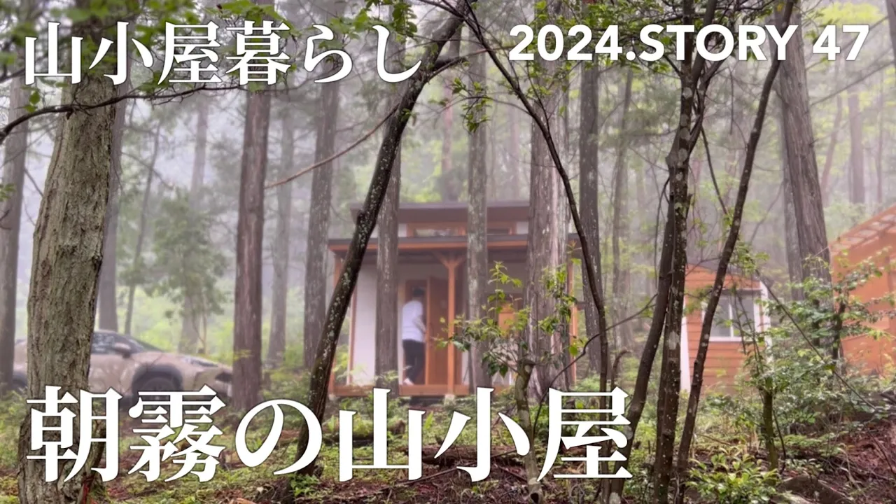 【沢の流れる450坪50万の山購入】祝チャンネル登録者数10,000人記念Tシャツ10名様プレゼント♪