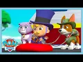 Download Lagu Saving Baby Humdinger! | Paw Patrol | WildBrain Kids