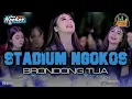 Download Lagu DJ STADIUM X HABIBI MELAYANG || NGOKOS MUSIC FEAT WONG BEBAS PROJECT