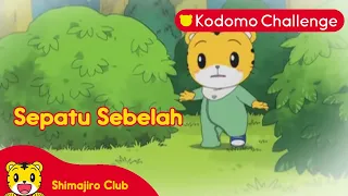 Download Shimajiro | Pendidikan Anak | Sepatu Sebelah Ep.121.1 - Kodomo Challenge MP3