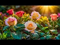Download Lagu Музыка расслабляет нервную систему, улучшает память 🌿 Сергей Грищук музыка #136