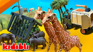 Learn the Names of Savannah Animals with Wild Toy Animals! | Cartoon for Kids | Kidibli