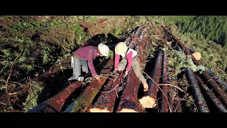 LOGGING RIGGING One of the hardest jobs in the world MOTIVATIONAL WORK ETHIC
