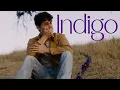 INDIGO From The Mind of Zachary Merian