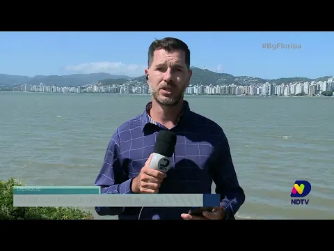 Grande Florianópolis tem quase sete mil casos de dengue em 2023