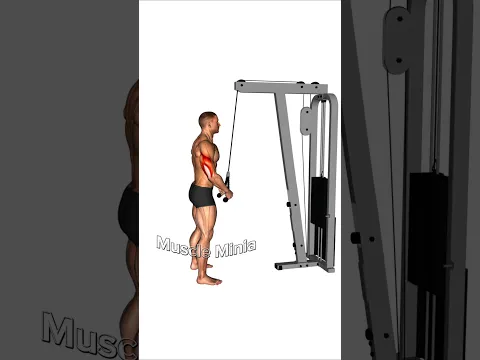 💀 Explode Your Triceps with This Workout! 🔥