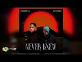 Download Lagu Freddy K and Djy Biza - Never Knew (Official Audio)
