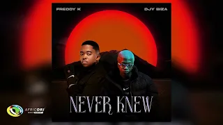 freddy k and djy biza never knew official audio