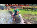 Lagu sawah bekas rawa memang spot sejuta belut babon sawah yang melimpah