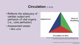 Pediatric Assessment
