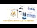 PowerBasic Snippets - Tutorial on Generic SQL DB backups