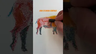 How to draw a buffalo