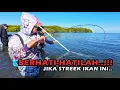 Download Lagu DIHAJAR MONSTER!!! Teknik ini, Tiba-tiba Dimakan Ikan Monster..!!!