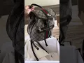 Gucci Ophidia Small Backpack