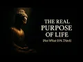 Download Lagu The Real Purpose of Life (Not What 99% Think) \u0026 The Buddha's Answer