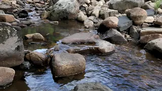 Download 5min Relaxing Water Flowing Sound - River Nature Sounds Short Meditation W/O Music - Running Stream MP3