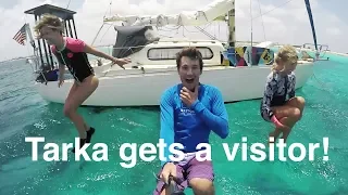 Tarka gets a visitor!  – Sailing Tarka Ep. 22