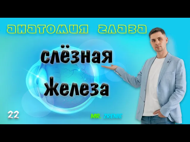 Слезные железы | Строение глаза