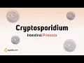 Download Lagu Intestinal Protozoa Parasites | Cryptosporidium | Microbiology for Medical Students