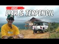 Download Lagu JARANG ORANG INDONESIA TAU TEMPAT INI II KRUI
