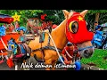 Lagu Naik kuda delman Istimewa | Full Lagu Anak-Anak Ceria \u0026 Edukatif untuk Si Kecil\