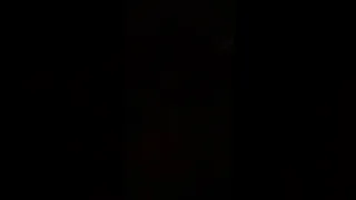 زكره ليبيه تمر 