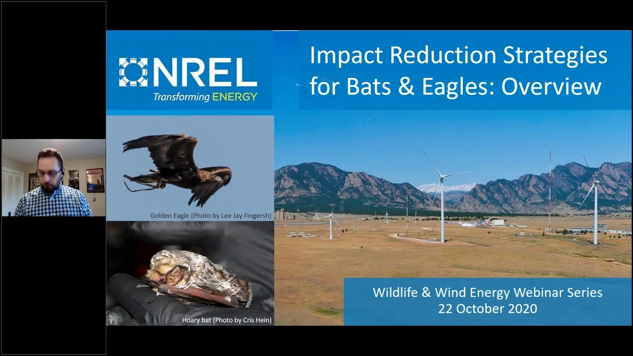 Wildlife & Wind Energy Webinar Series: Webinar #7 - Impact Reduction Strategies for Eagles and Bats