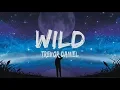 Download Lagu Trevor Daniel - Wild (Lyrics)